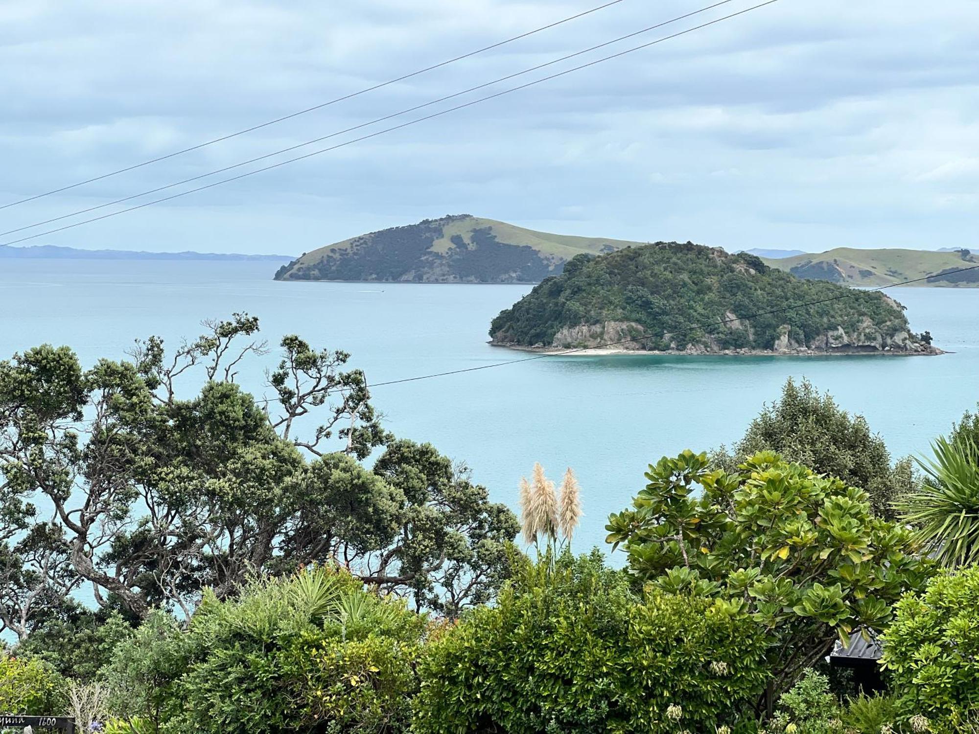 The Nest-stunning Seaview's Coromandel